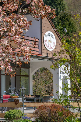 Picknicktour „Berg und Tal“ | Wandern Südliche Weinstraße Annweiler-Gräfenhausen Eußerthal | Jungpfalzhütte | Holderquelle 13