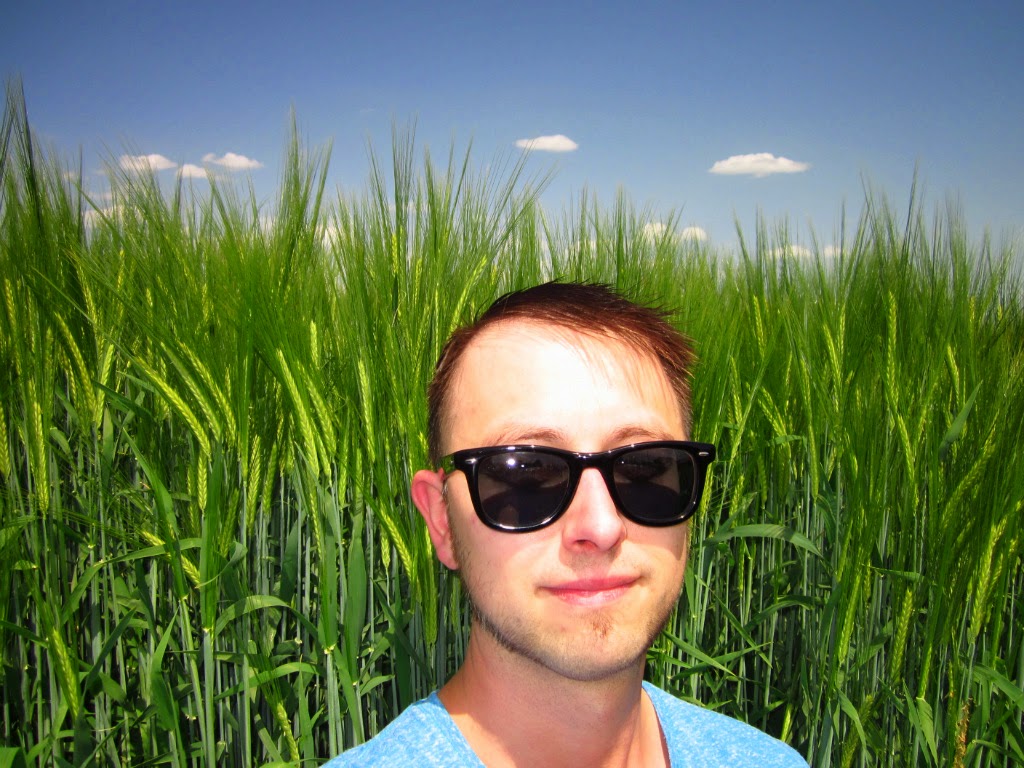 Hier trennt sich die Spreu vom Weizen