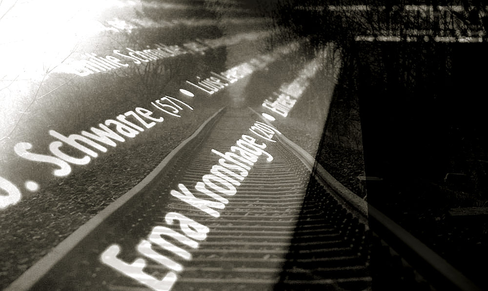 Erika Rosenberg November 2019