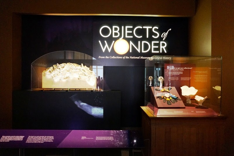 F.Y.I. (Fire Your Imagination) The “Objects of Wonder From the