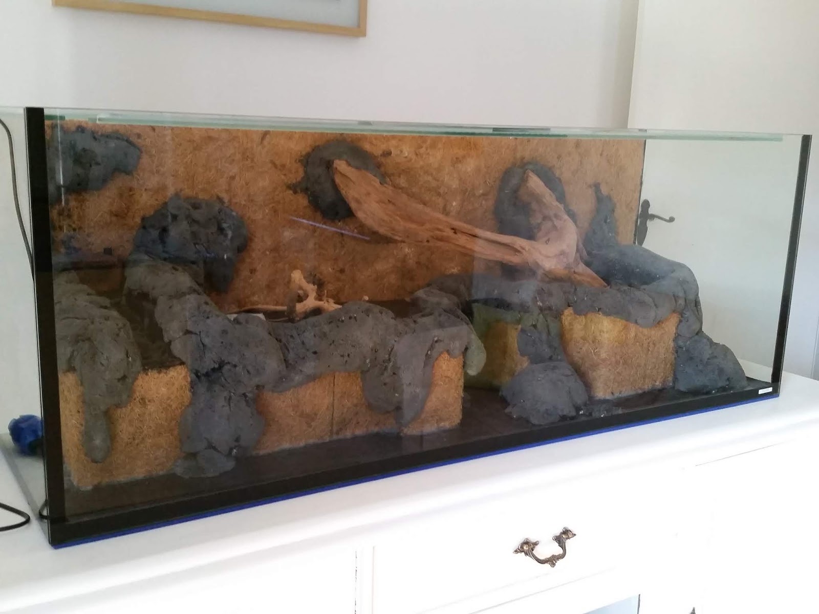 Setting up a Paludarium Building a Paludarium land area