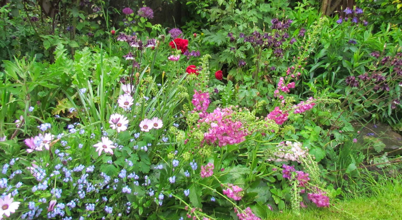 Woodlouse House: The Wet Garden