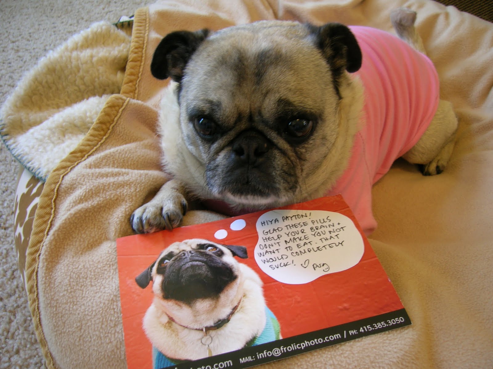 Pugnacious P: Turns out not all mail people steal...