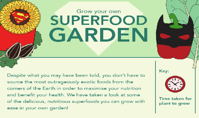 Grow Your Own Superfood Garden #infographic