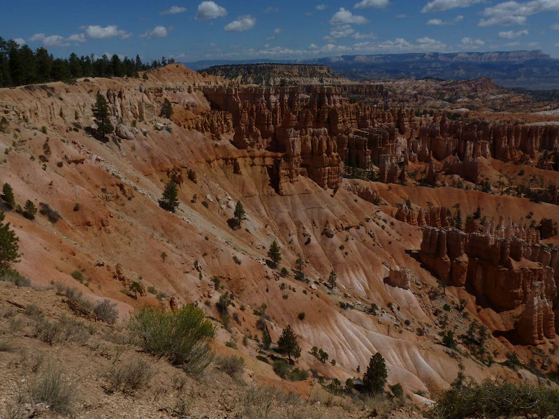 13: Bryce Canyon - Driving me ... USA (12)