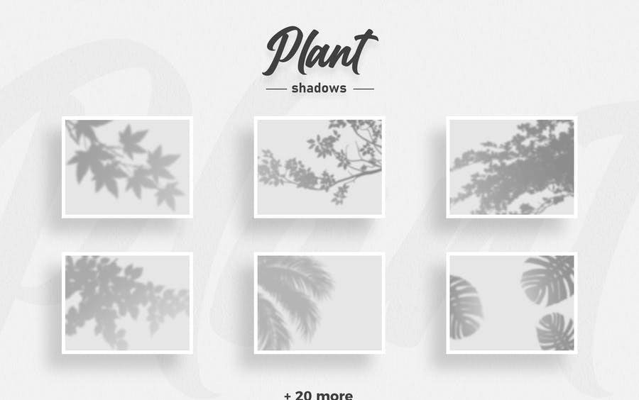 Plant Shadow Overlays (PSD)