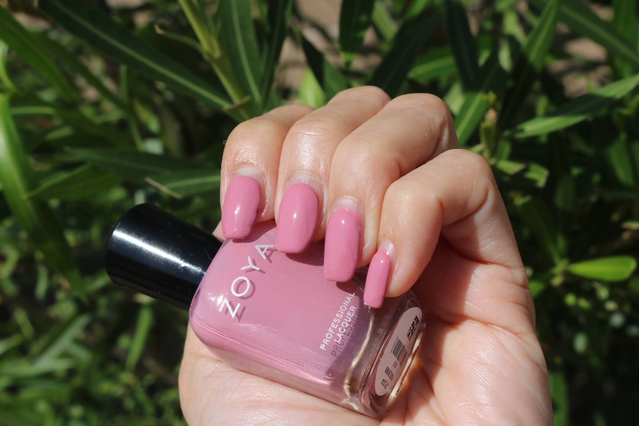 Zoya Vivi Zoya Vivi