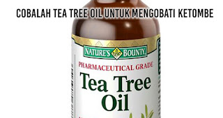 Cobalah tea tree oil untuk mengobati ketombe