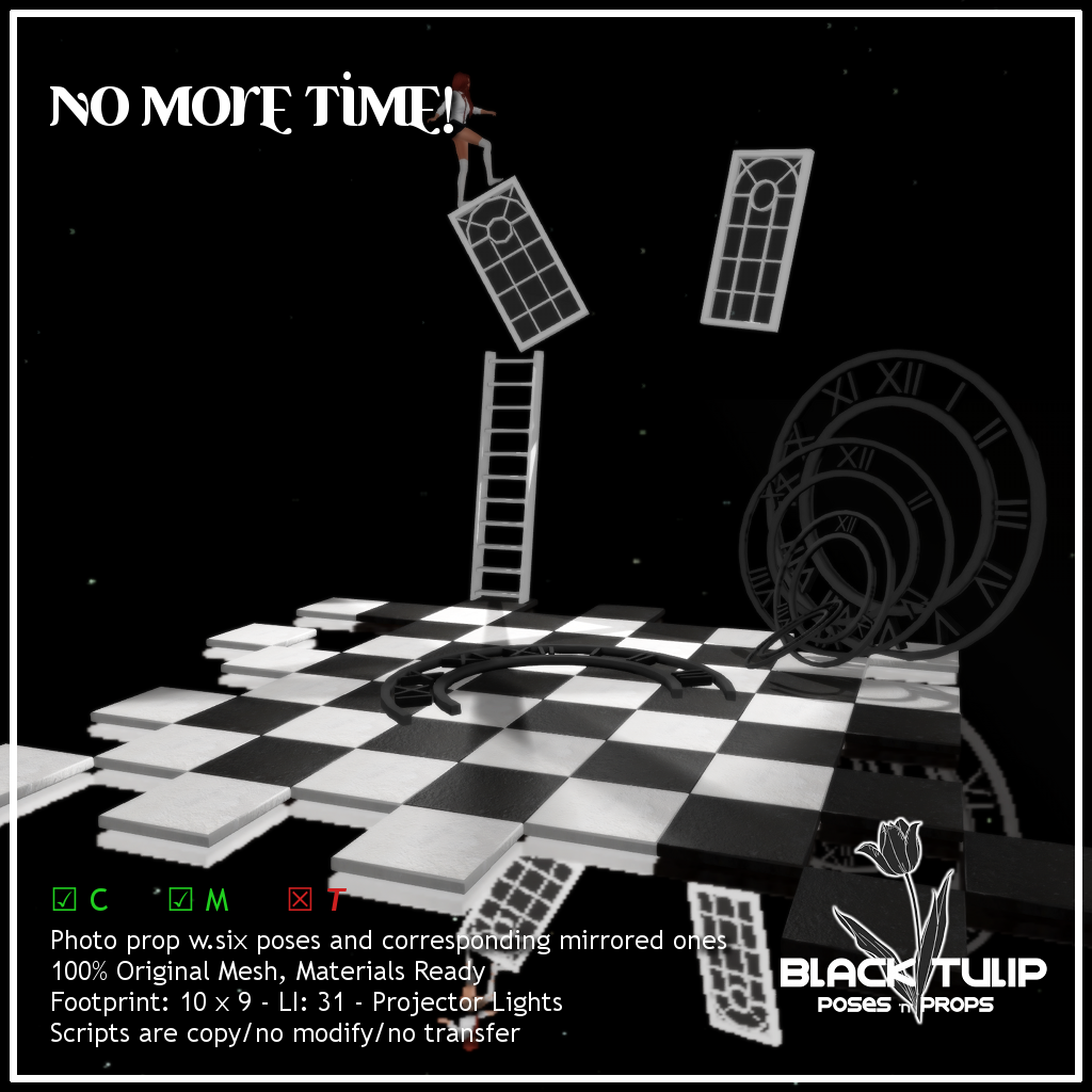 Black Tulip No more time!, new for Genre