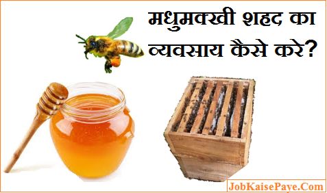 How to do bee honey business in Hindi How to do bee honey business in Hindi