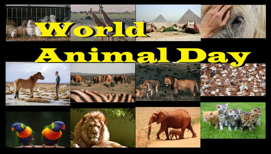 World Animals Day