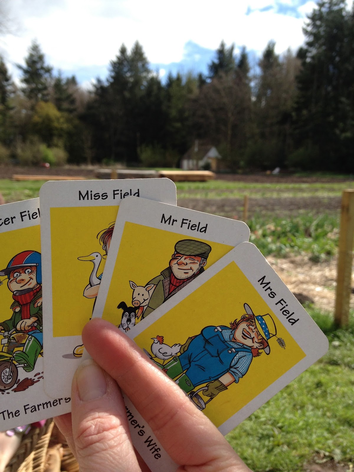 Made From Fife Pillars of Hercules, Falkland