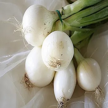 पांढरा कांदा, white onion vegetables name in Marathi
