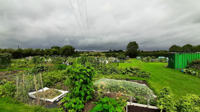Clouds looming over Hungerford allotments