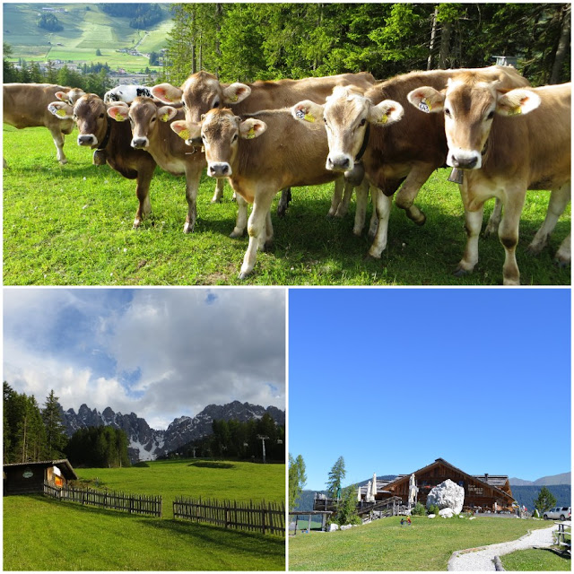 Escursione Ai Bagni Di San Candido E Al Rifugio Rocca Dei Baranci