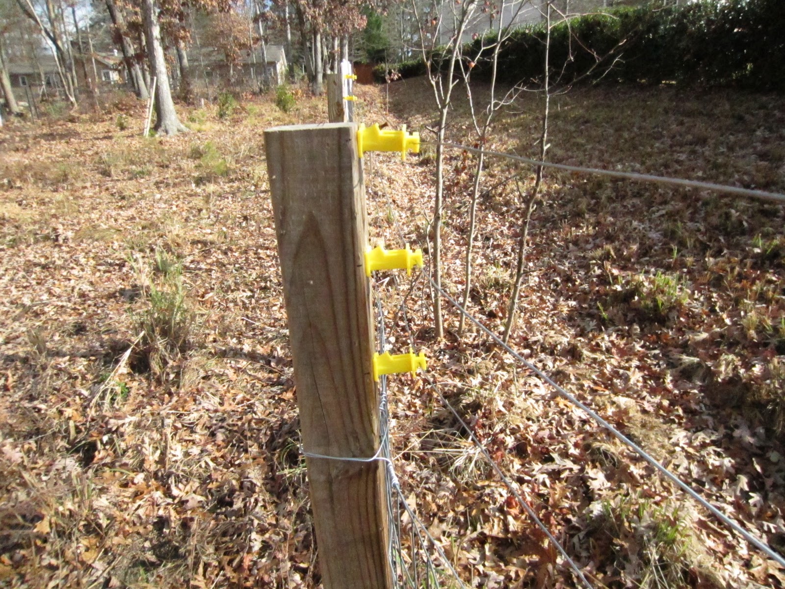 20 Of the Best Ideas for Diy Electric Fences Best Collections Ever