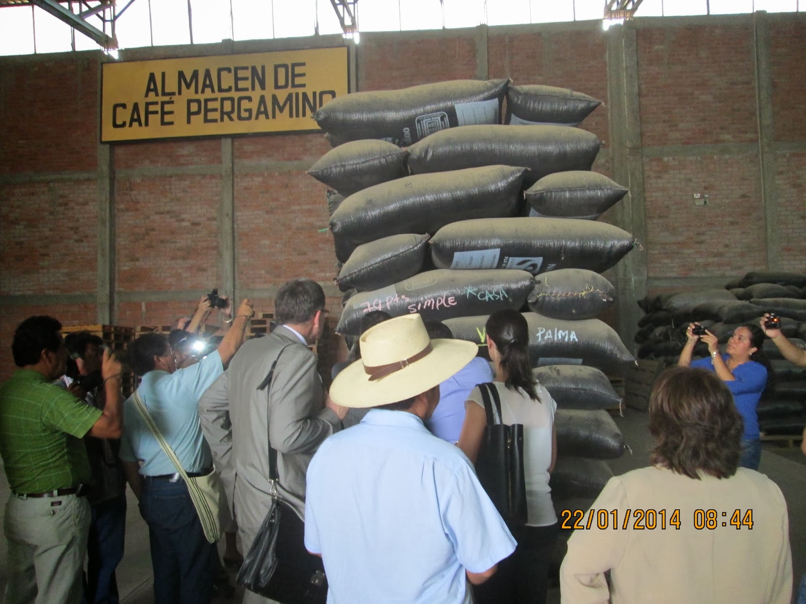 EL CORRESPONSAL DE RADIO CUTIVALÚ: PRODUCTORES DE MANGO, CAFÉ Y CACAO