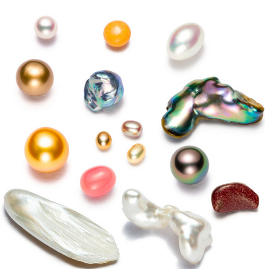 The Complete Biology How do pearls form?