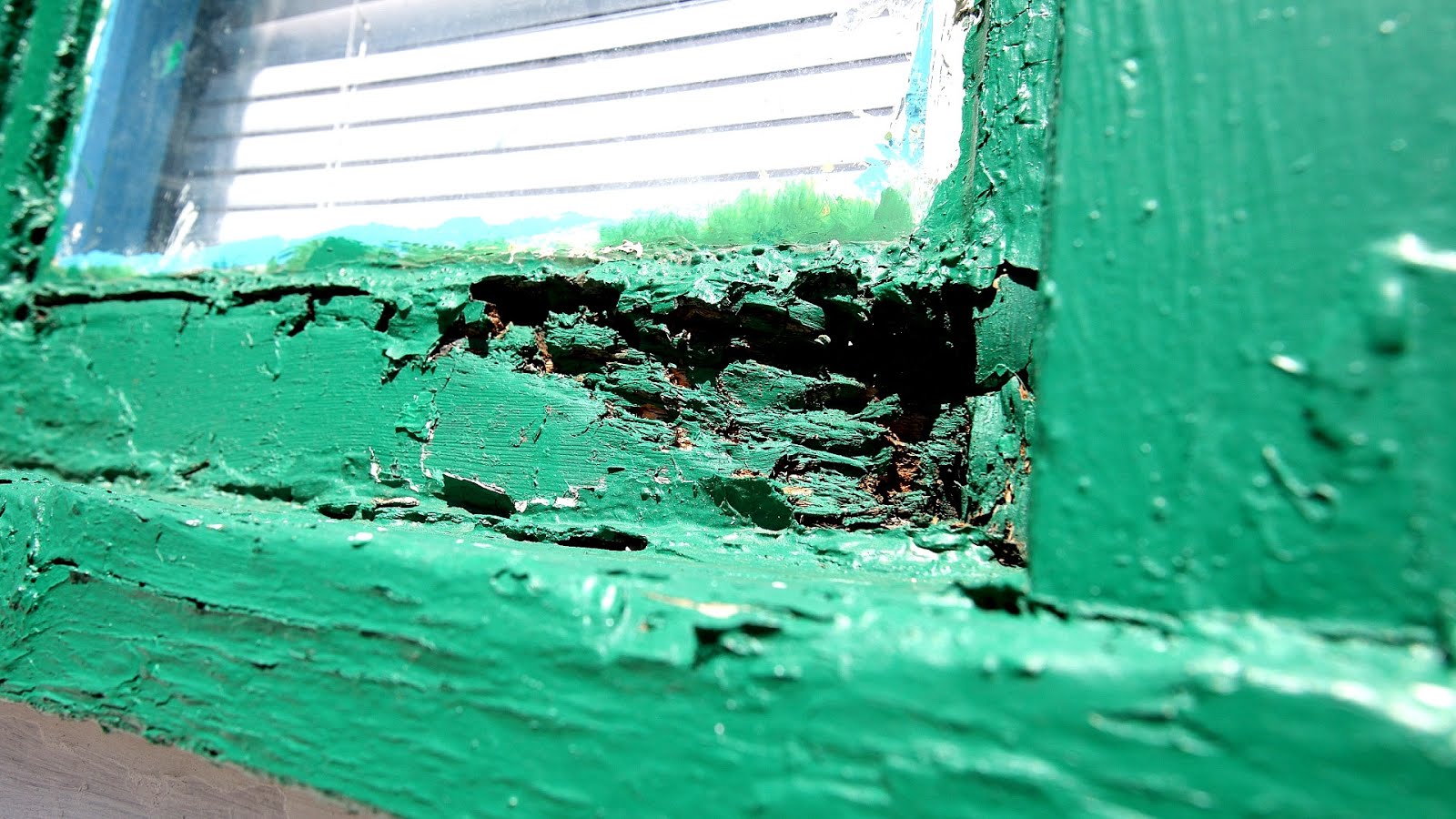 Leadbased paint in the United States Paint Choices