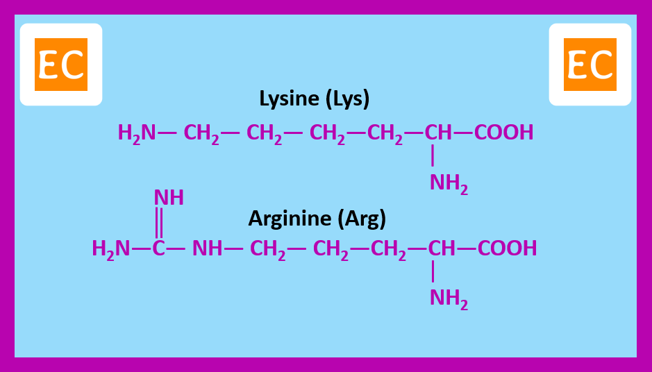 ELEMENTAL CHEMISTRY Essential Amino Acids