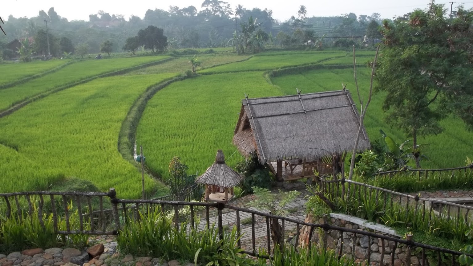 Bukit Air Resto Bogor Makan Diatas Kolam Ikan Dan Saung Tengah Sawah