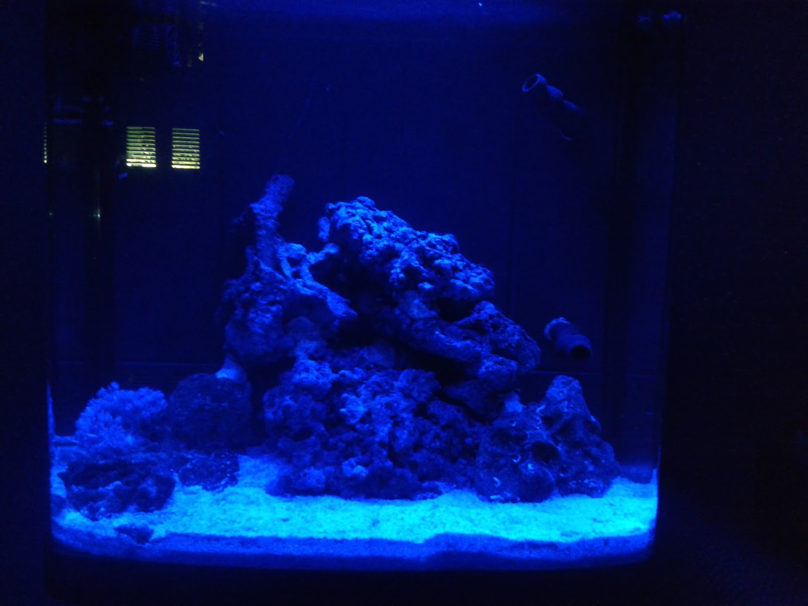 Kent Marine Bio Reef LED 94L Aquarium: Drop of the Ocean