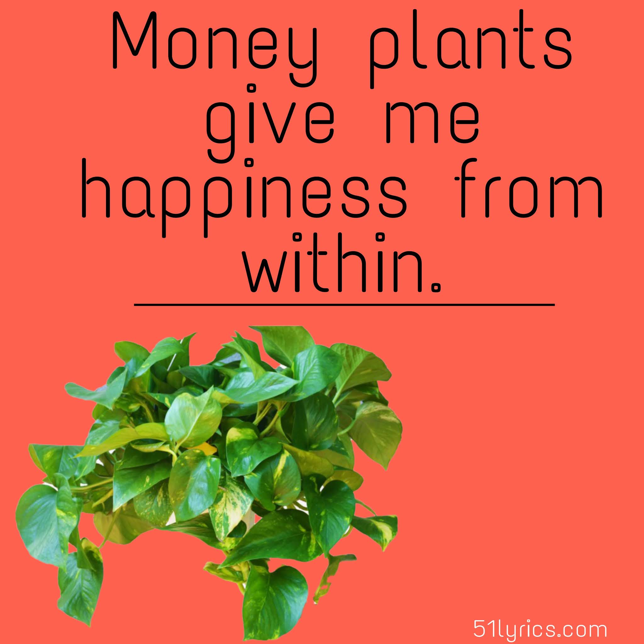 43+ Money Plant Captions for Instagram and Pick up Lines