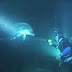 Caught on Cam: Injured dolphin requests for human help!