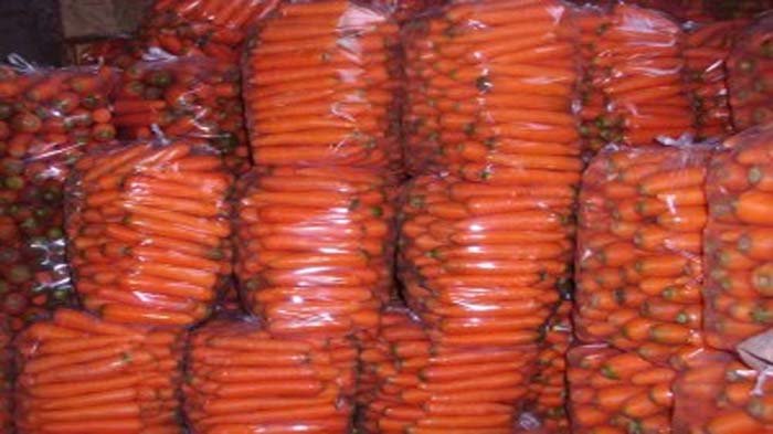 wortel palsu dari china karyaku wortel palsu dari china karyaku