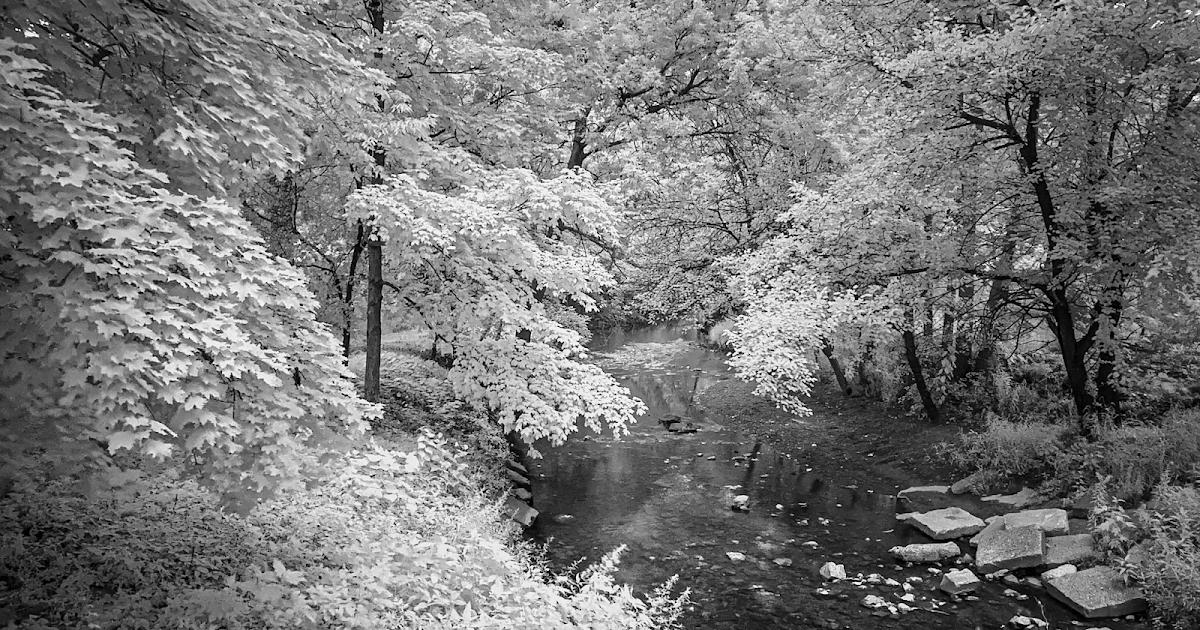 Rad A. Drew Photography Infrared for iPhone! It's Possible! It's FUN!