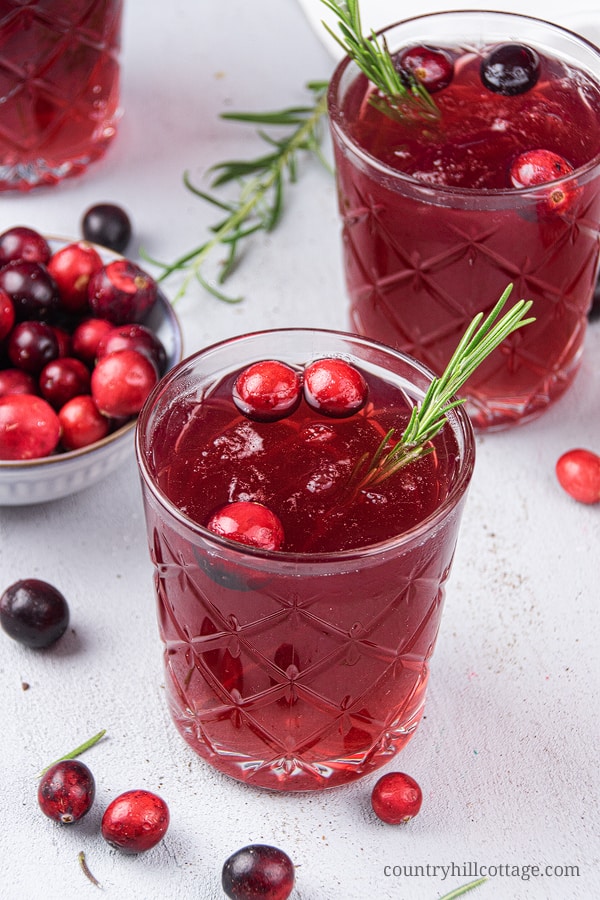 Gingerbread cranberry mocktail rosemary christmas 37 Nonalcoholic Christmas Drinks Perfect for Your Next Party - Koti Beth