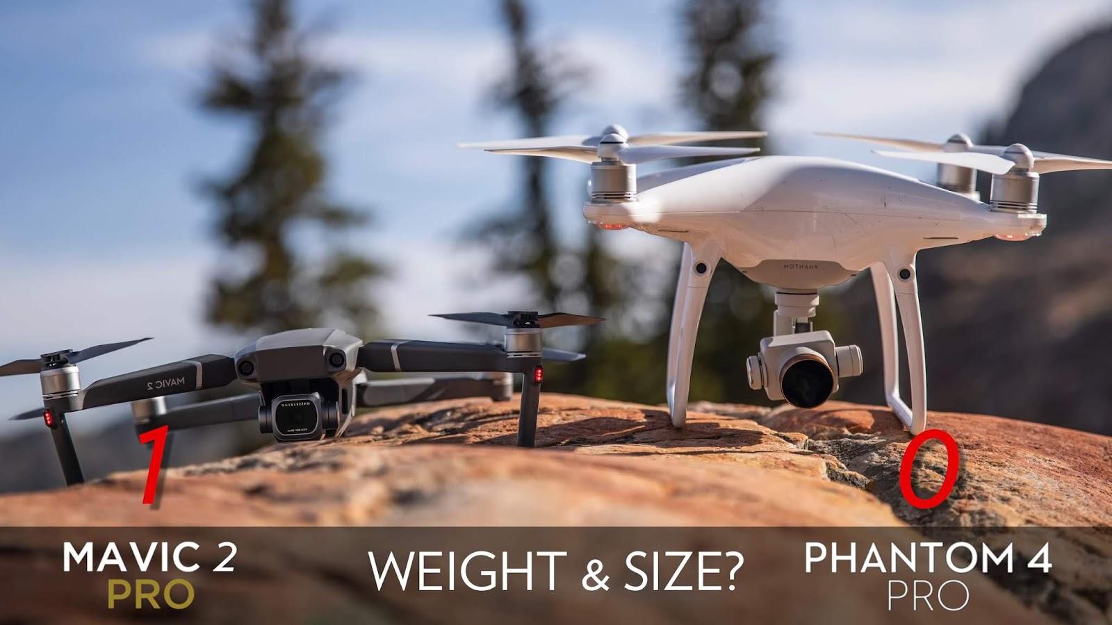 Mavic 2 Pro vs. Phantom 4 Pro In-Depth Comparison - Photography Blog