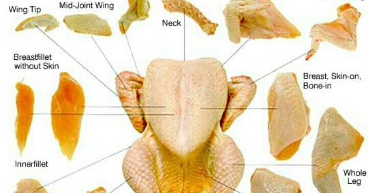 8 Kesalahan Saat Memasak Ayam Persagi Bandung 8 Kesalahan Saat Memasak Ayam Persagi Bandung