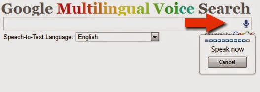 google multi lingual voice search