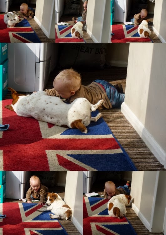 Whoopidooings: One boy and his dog