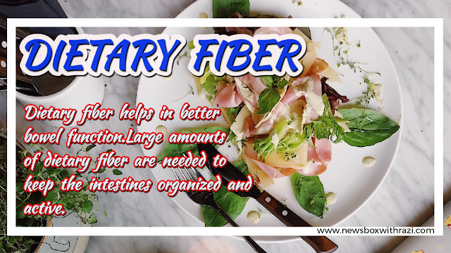 What is Dietary Fiber And why is it important for the human body