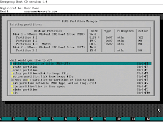 Partition manager