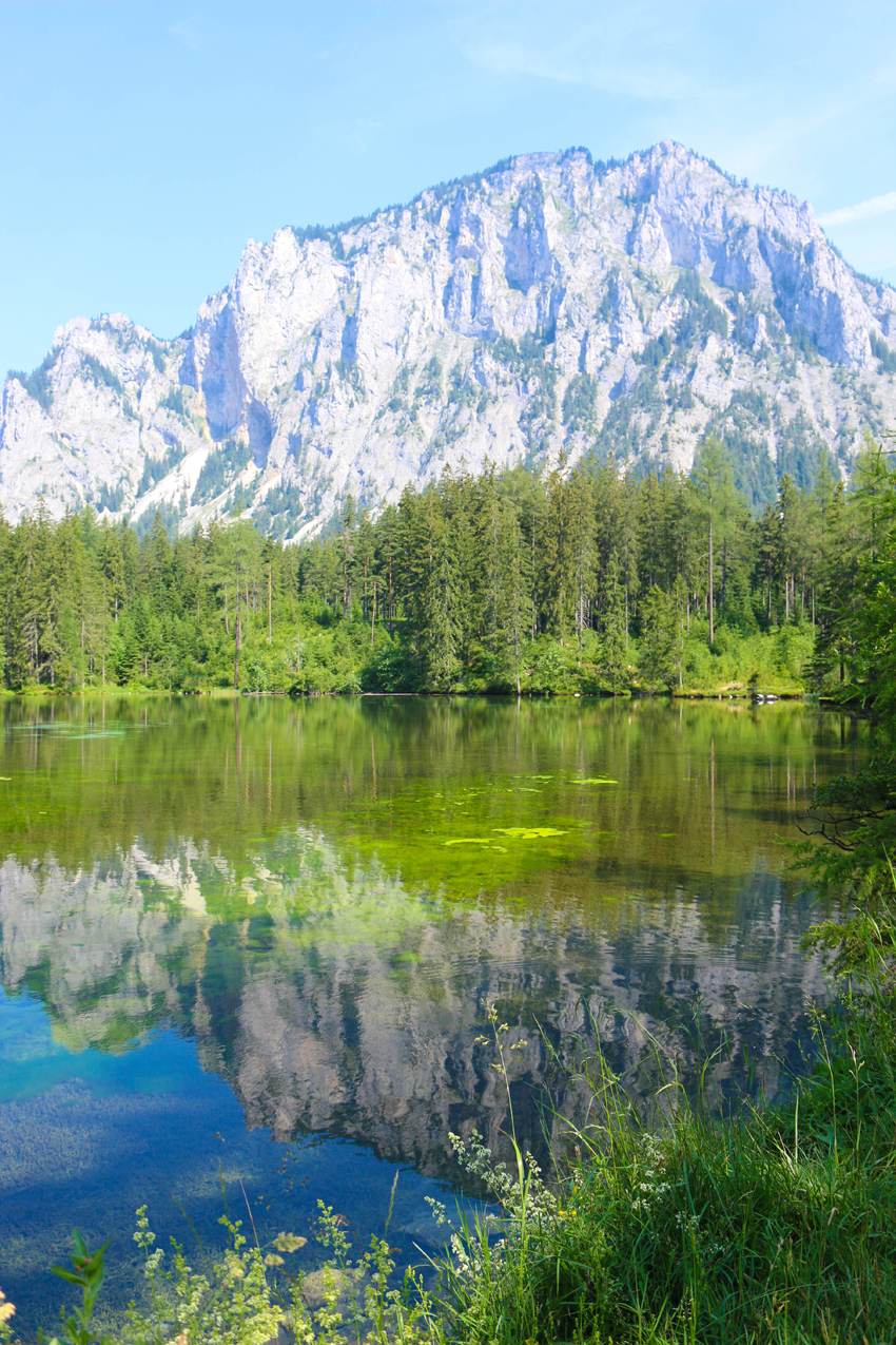 Hotel Direkt Am See 4 Sterne Hotel Kollers Am Millstatter See