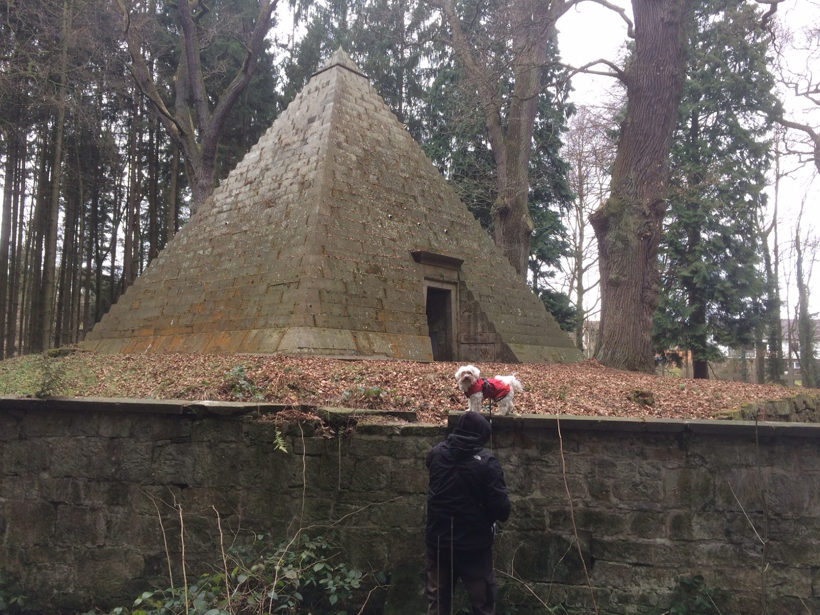 Hier Kommt Scotty Ein Hundeleben Ein Sonntagsausflug Nach Agypten