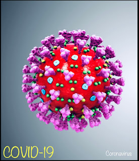 what actually coronavirus is?, covid-19, coronvirus history, coronavirus symptoms, coronavirus update, coronavirus news, coronavirus cause