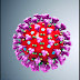 What Actually Coronavirus Is?