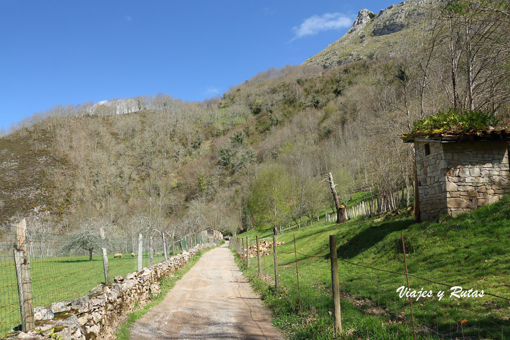 Olla de San Vicente, Asturias