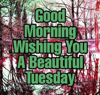 good morning tuesday wishing