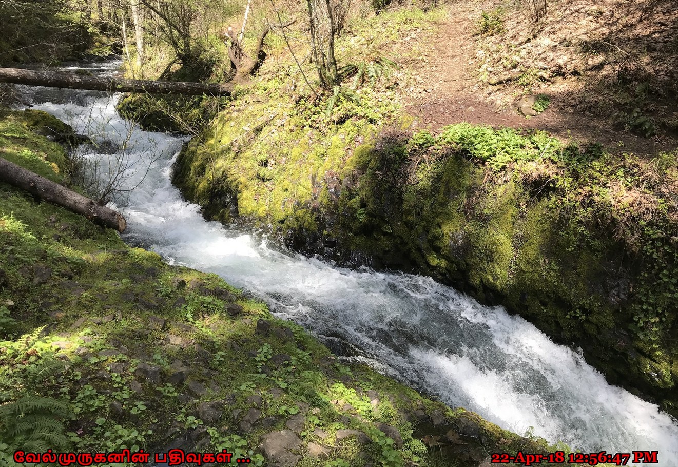 Buck Creek Falls Washington Exploring My Life