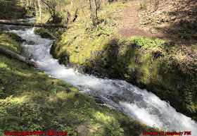Washington Buck Creek Waterfalls