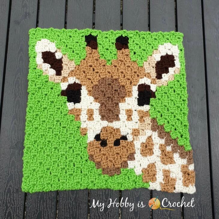 Giraffe C2C Square