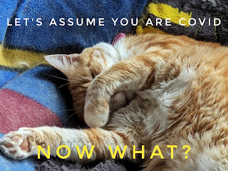 COVID Poster: Let's assume you're COVID. Now what?