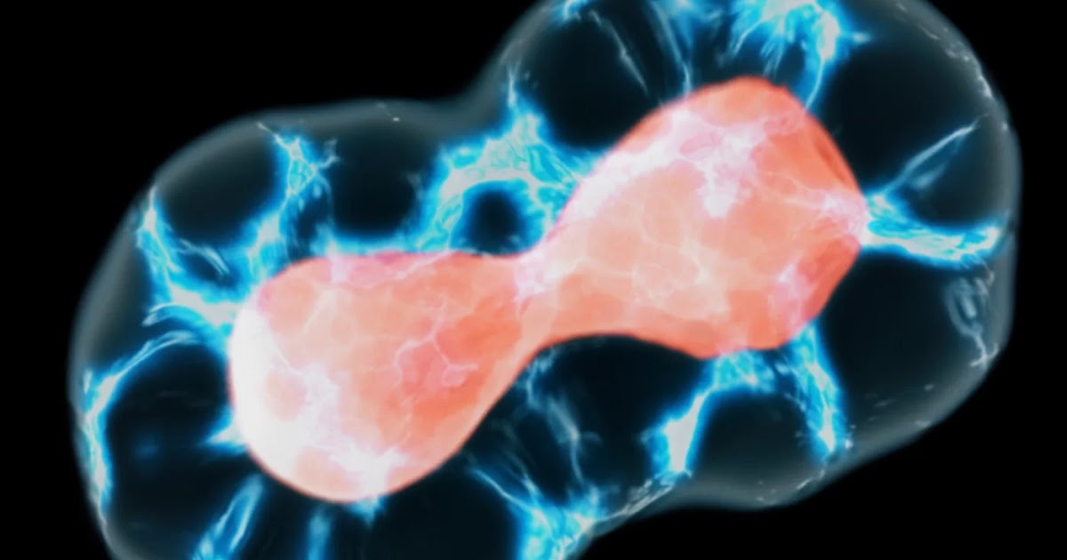 Apa Itu Meiosis Pengertian Lengkap Tomatalikuang Com Berita Pendidikan Terbaru