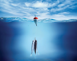 Beautiful Wallpapers: Fish Wallpapers