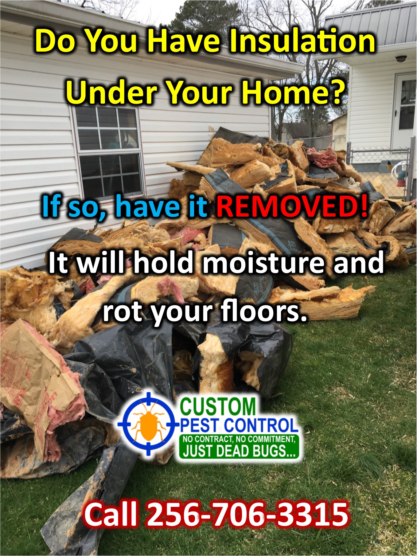 Why Does My House Smell Musky like Mildew? Custom Pest Control (Mold